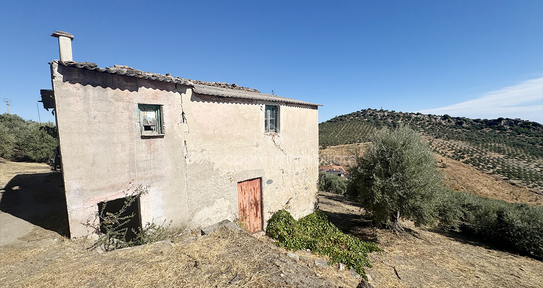 property-1