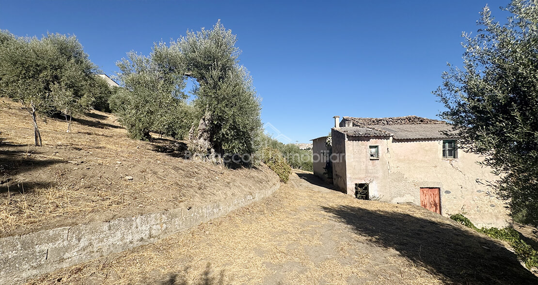 CASOLARE CON TERRENO A SANTA MARIA DELLE GRAZIE - Foto #4
