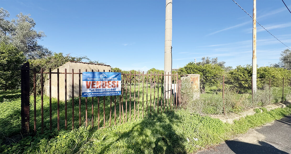 property-1