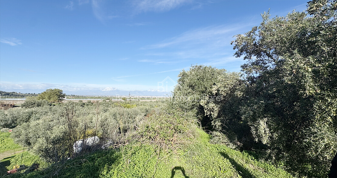 TERRENO EDIFICABILE  - Foto #10