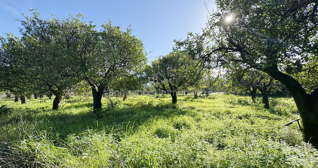 TERRENO EDIFICABILE  - Foto #5