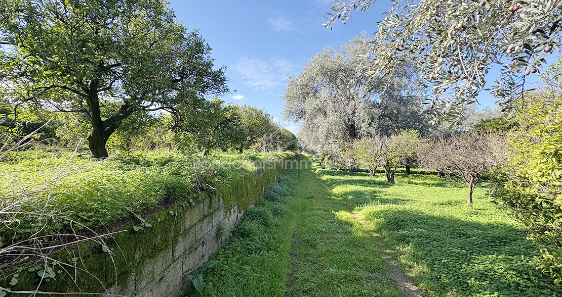 TERRENO EDIFICABILE  - Foto #8