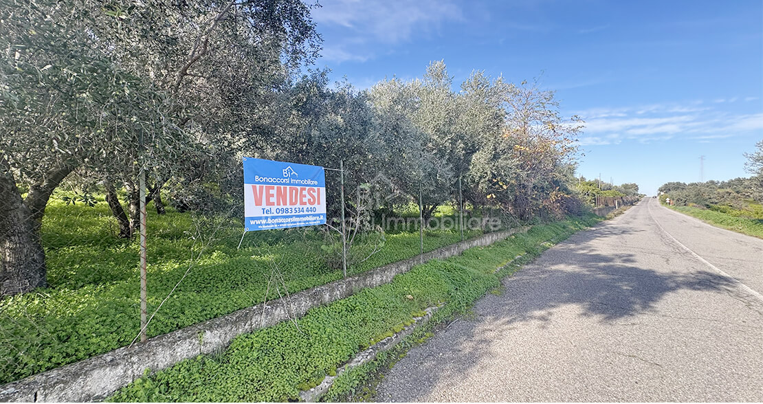 property-1