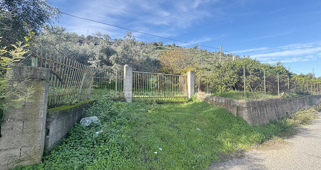 VENDESI TERRENO AGRICOLO - Foto #3