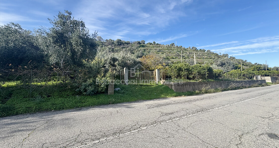 VENDESI TERRENO AGRICOLO - Foto #4