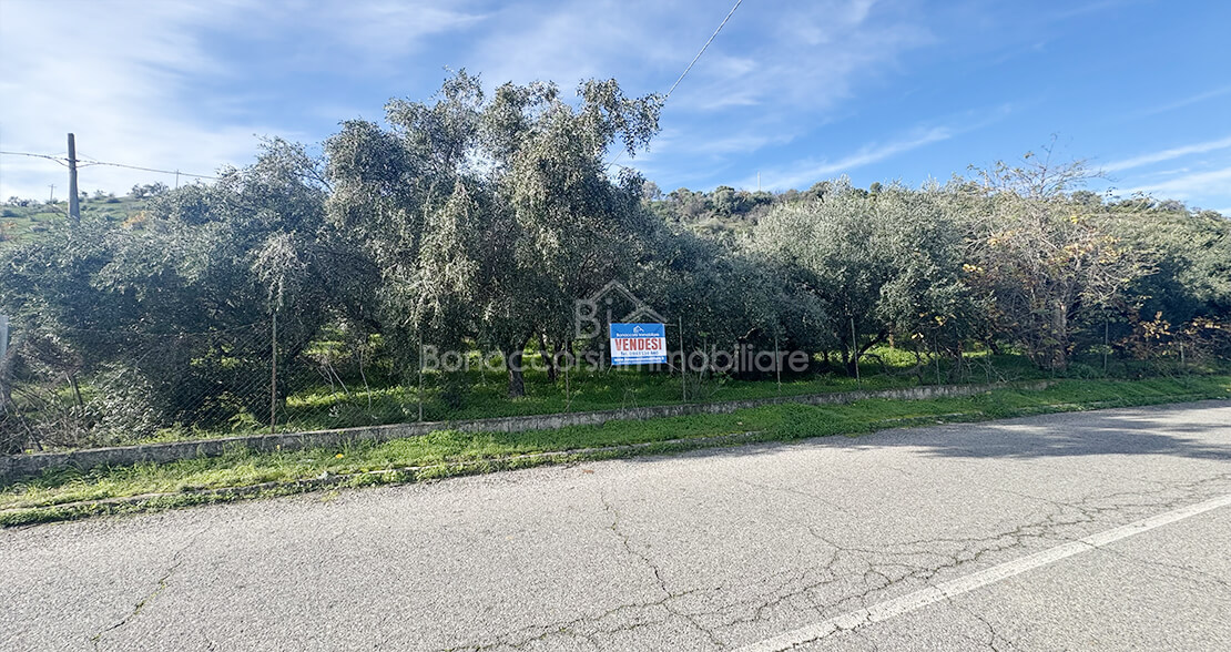 VENDESI TERRENO AGRICOLO - Foto #5