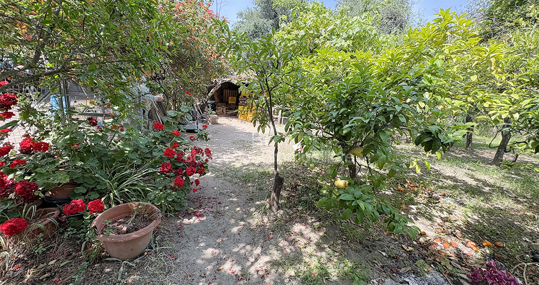 VILLA CON GIARDINO - Foto #17