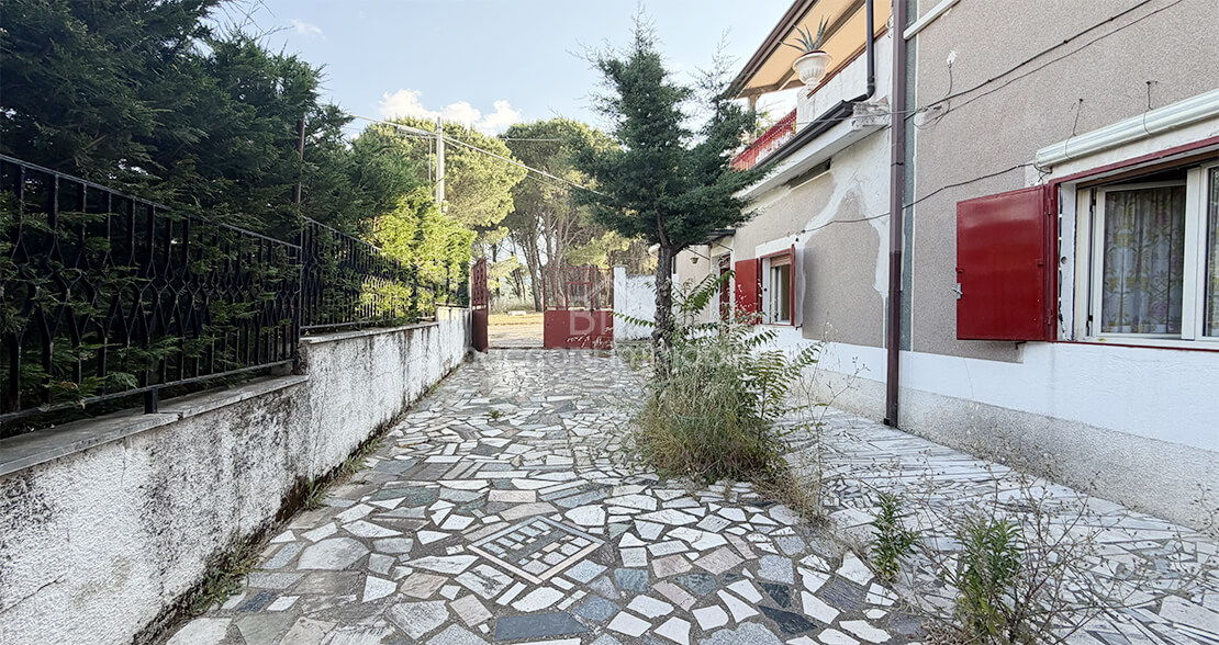property-1
