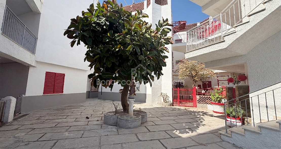 property-1