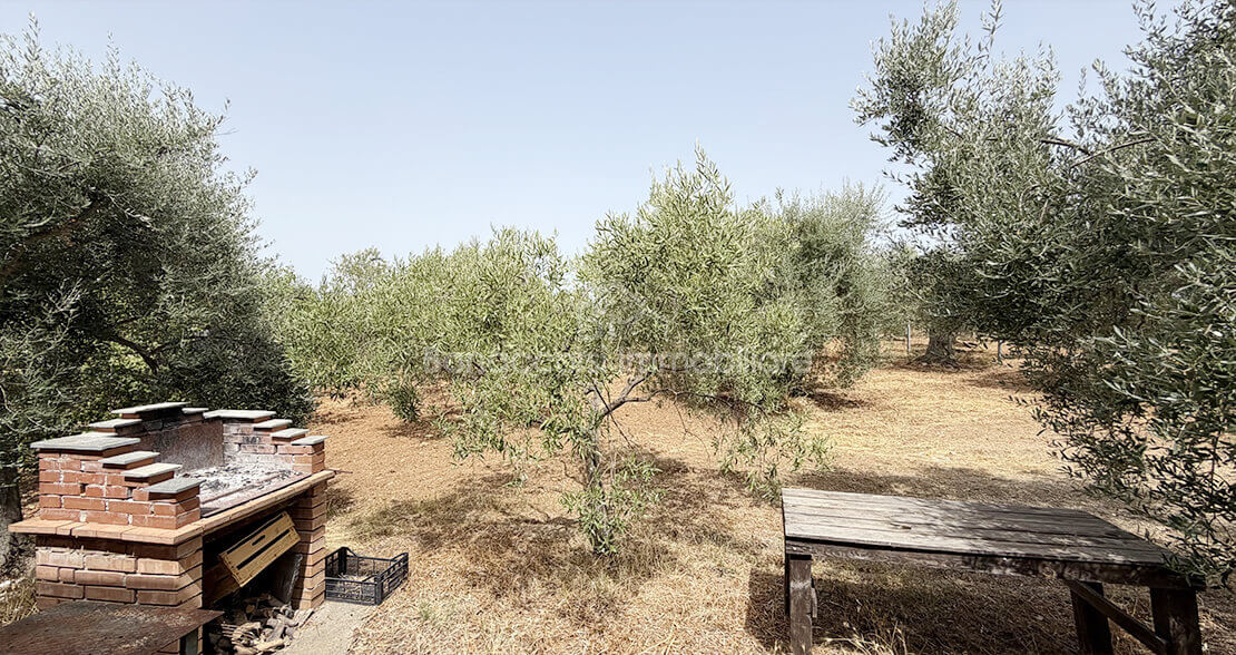 TERRENO CON CASOLARE - Foto #10