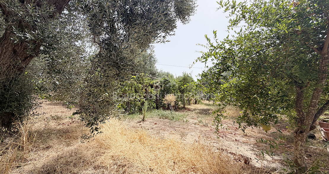 TERRENO CON CASOLARE - Foto #12