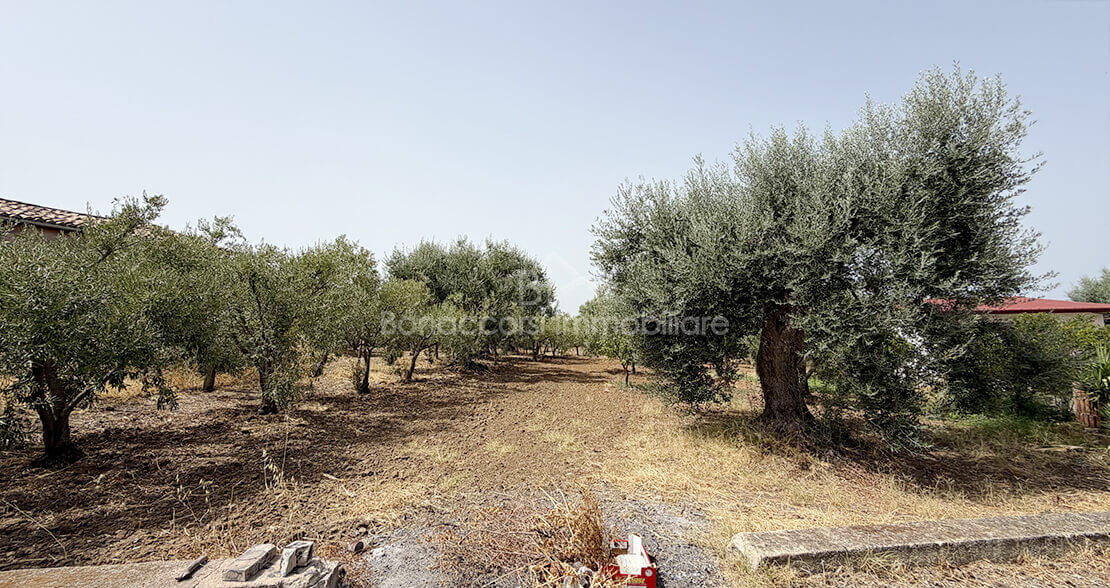 TERRENO CON CASOLARE - Foto #13
