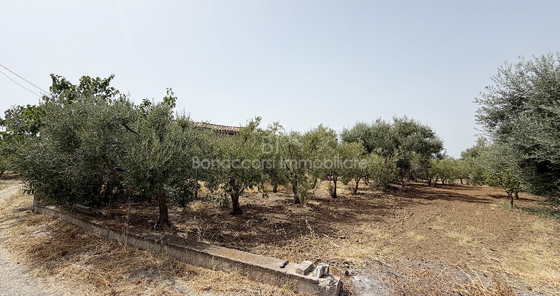 TERRENO CON CASOLARE - Foto #14