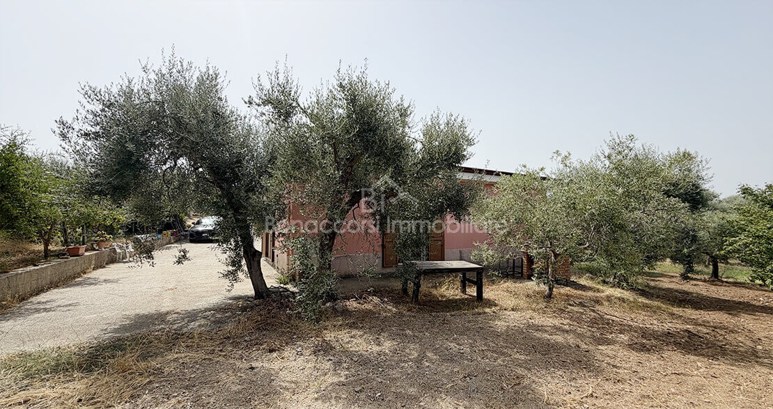TERRENO CON CASOLARE - Foto #15