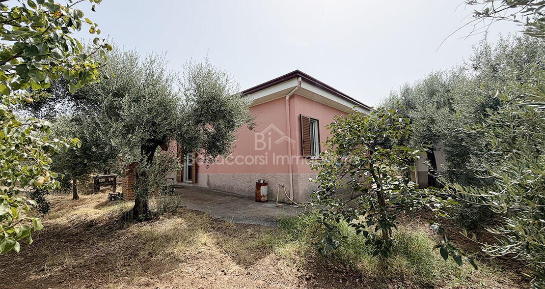 TERRENO CON CASOLARE - Foto #9